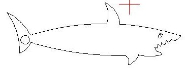shark2