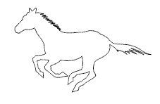Pferd01