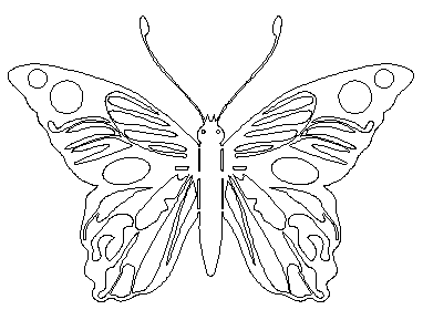 butterfly 05 436