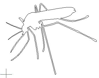 mosquito