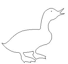 duck 195